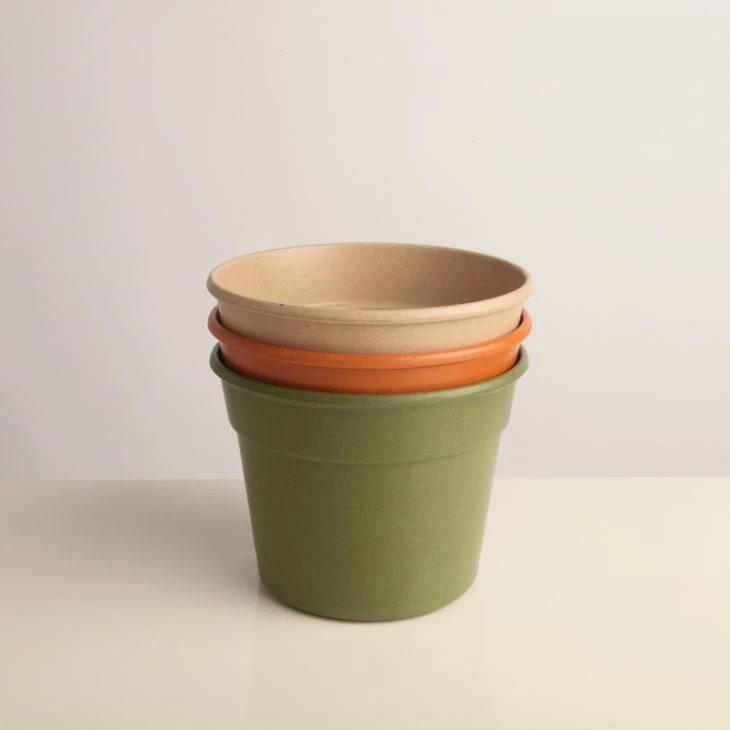 Planta de maceta biodegradable