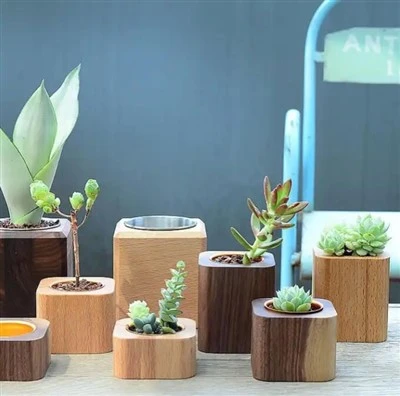 Waterpfoof Black Walnut Wood Desktop Suculenta Flower Pot